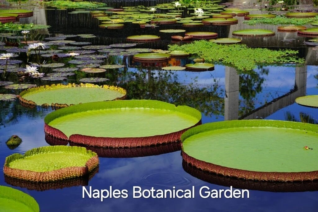 Naples Botanical Garden