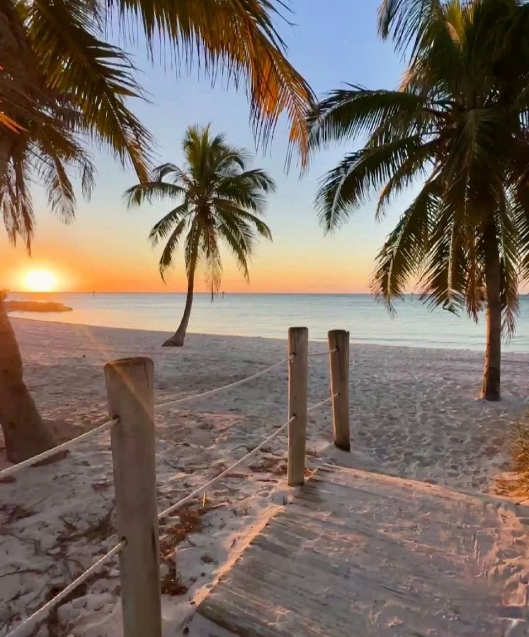 Palm-lined Naples beach at golden hour